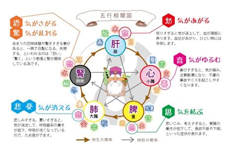 皮膚五行|⑬陰陽五行がわかる！爪、顔色、髪、皮膚、歯を見るとわかるこ。